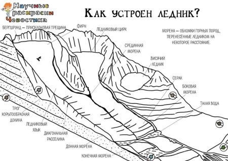 Раскраски с Чевостиком