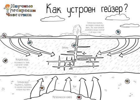 Фотосинтез задания для детей