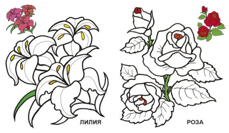 Красивые цветы цветные раскраски