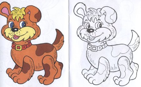 Раскраски цветные