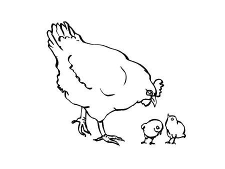 Раскраска Курочка с цыплятами для детей