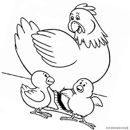 Курица раскраска