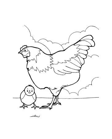 курица и цыплята