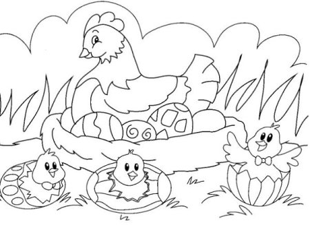 Курица с цыплятами раскраска для детей