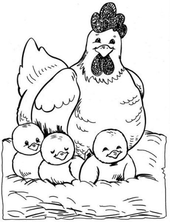 Курочка с цыплятами раскраска