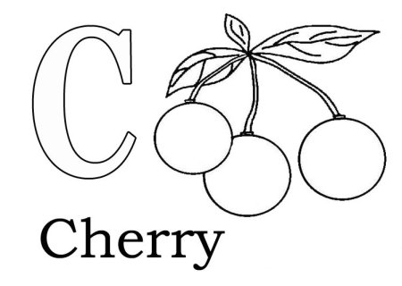 Слова на букву p на английском