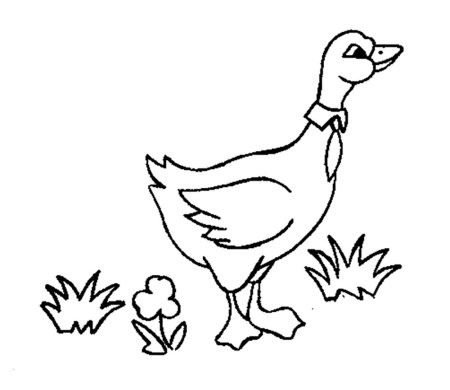 Гусь раскраска