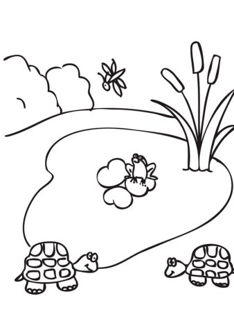 Горы раскраска для детей