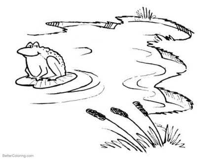 Раскраска пейзаж