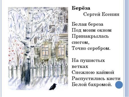 Есенин белая берёза под моим окном