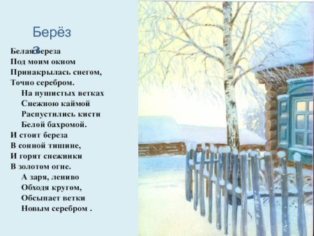 Берёза зимой рисунок карандашом