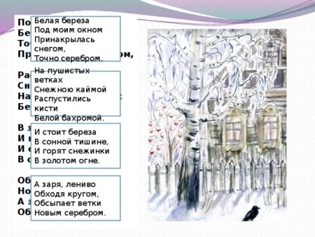 Твардовский береза