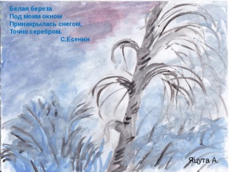 Белая берёза под моим окном рисунок