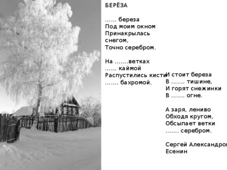 Белая береза рисование в старшей группе