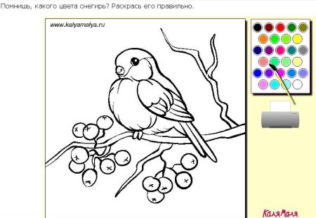 Раскраска по номерам Снегирь