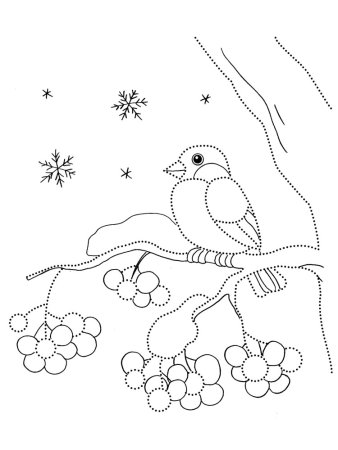 Снегирь рисунок карандашом
