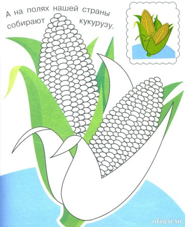 Кукуруза рисунок