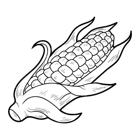 Кукуруза раскраска