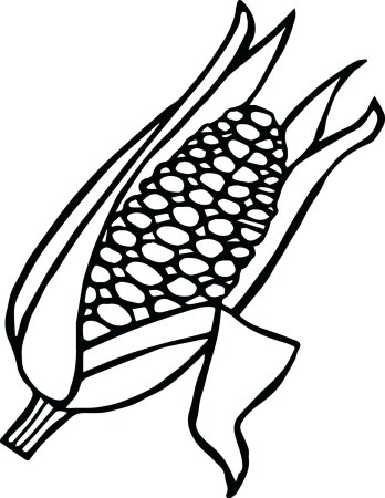 Кукуруза рисунок