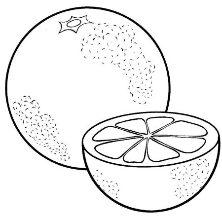 Апельсин раскраска для детей