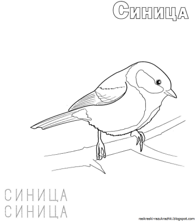Трафарет птички синички для детей