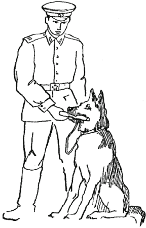 Раскраска пограничник