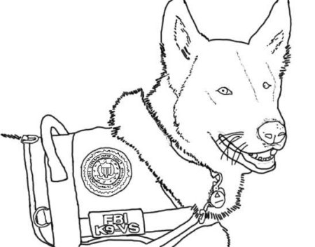 Раскраска пограничник