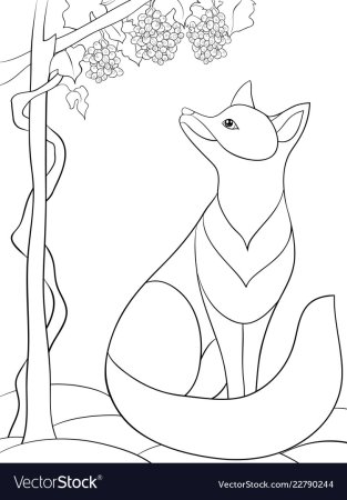 Лисица и виноград раскраска
