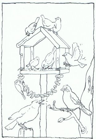 Разукрашки кормушки для птиц