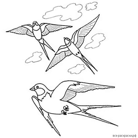 Ласточка картинка раскраска