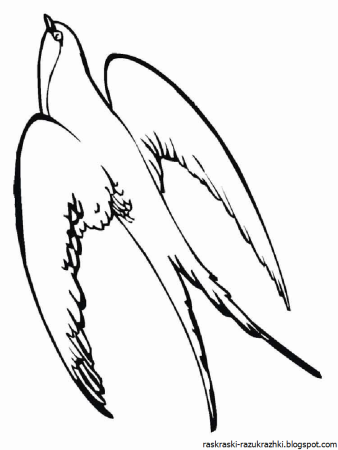 Раскраска ласточксдля детей