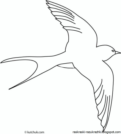 Ласточка раскраска
