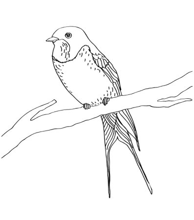 Бианки Лесные домишки раскраска