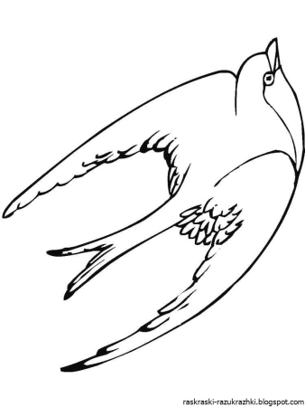 Ласточка раскраска