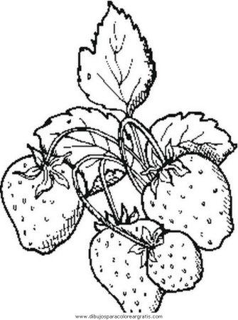 Занятие ягоды раскраска