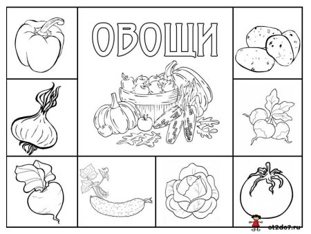 Веселые раскраски