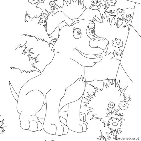 Волк из сказки Иван Царевич и серый волк раскраска