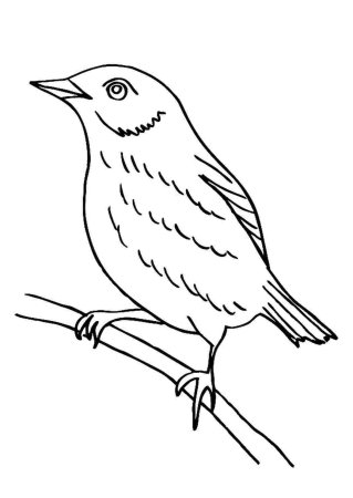 Скворечник раскраска для детей