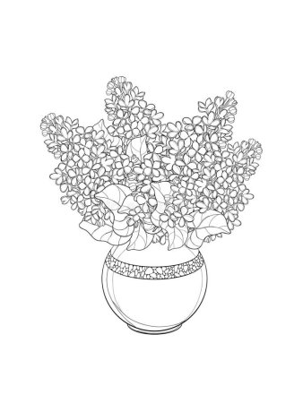Ваза с цветами раскраска