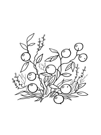 Рябина раскраска для детей