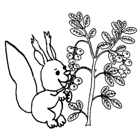Раскраски для малышей клюква