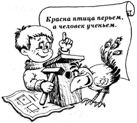 Раскраски к пословицам