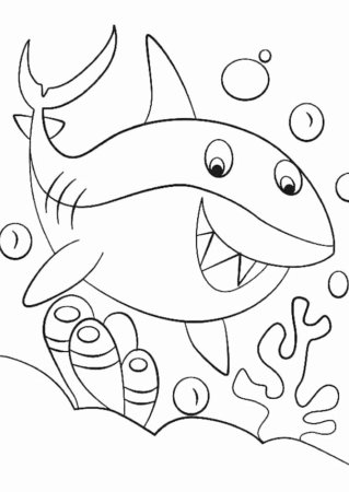 Baby Shark раскраска