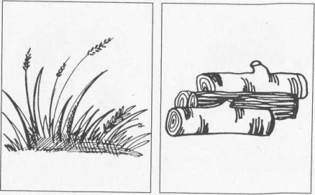 Ддрова раскраска для детей