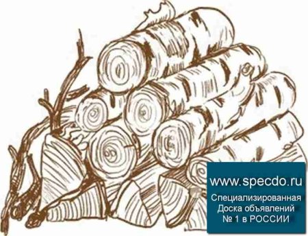 Бревно раскраска