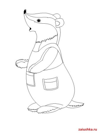 Барсук раскраска для детей