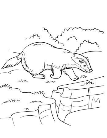 Иллюстрации к рассказу барсучий нос Паустовский