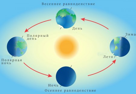 Движение земли вокруг солнца на белом фоне