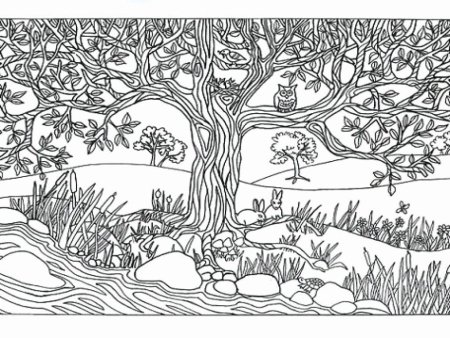 Пейзаж раскраска для детей