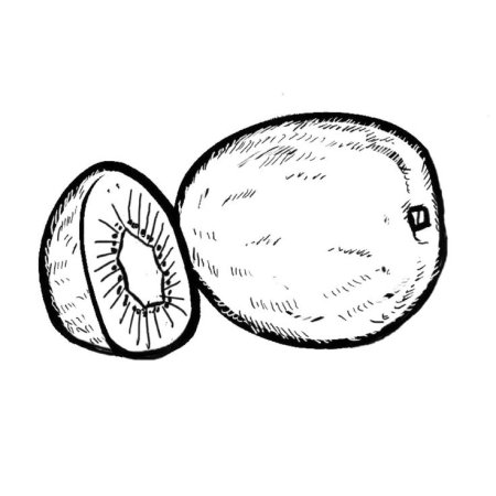 Раскраска фрукты киви